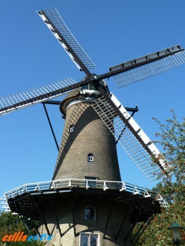 _alkmaar.jpg