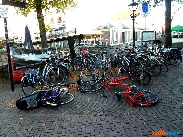 _alkmaar2.jpg