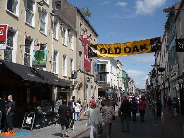 _old_oak.jpg