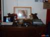 _rory_collection18_small.jpg