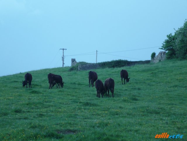 _ballyshannon6.jpg