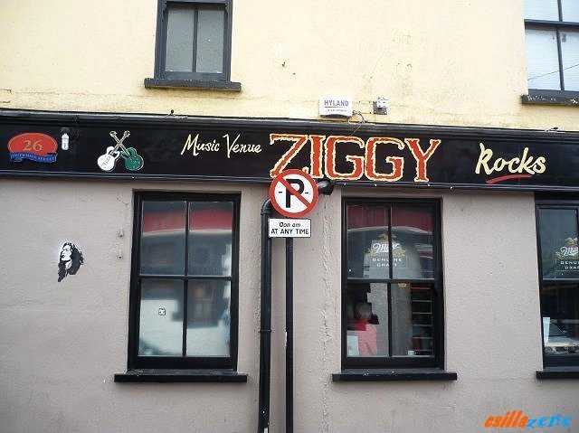 _ziggy_bar.jpg