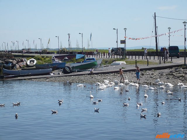 _galway4.jpg