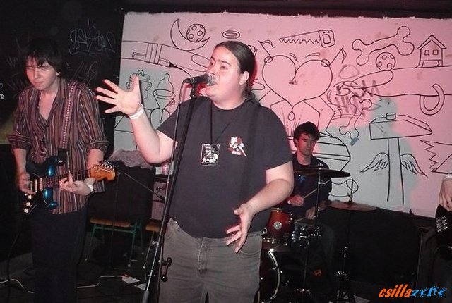 _fat_cat_band5.jpg