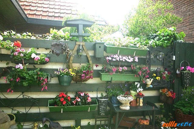 _rias_stamp_garden.jpg
