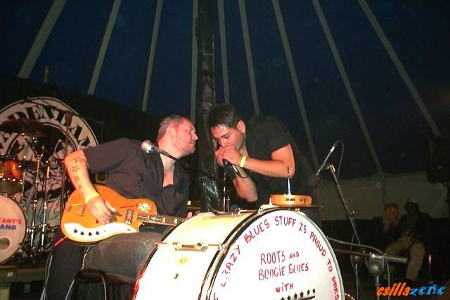 _roots_and_boogie.jpg