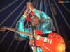 _eddy_the_chief_clearwater5_small.jpg