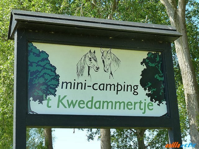 photo.jpg