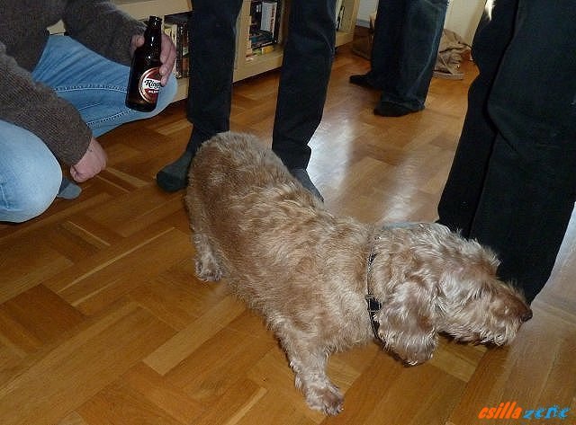 photo38.jpg