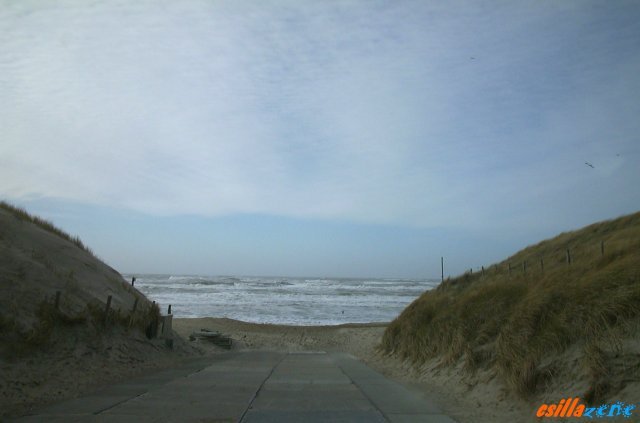 _seaside.jpg