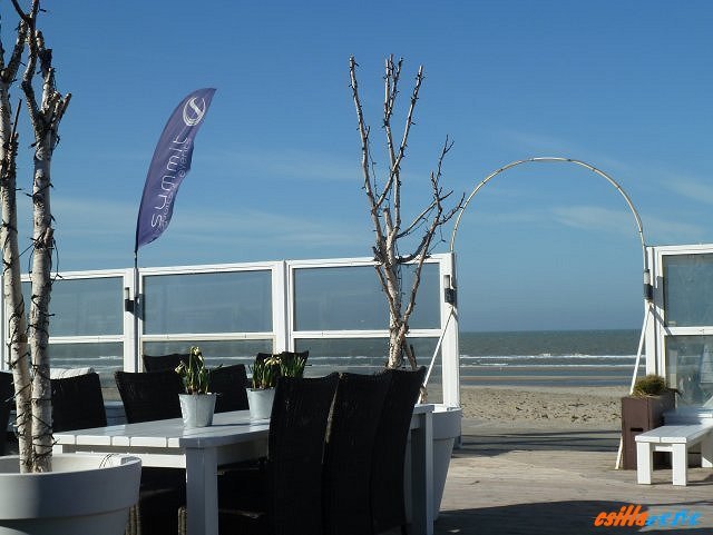 _wijk_aan_zee31.jpg