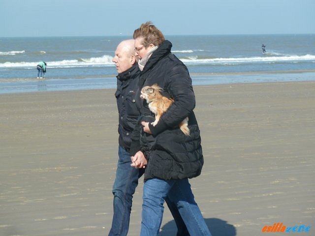 _wijk_aan_zee13.jpg