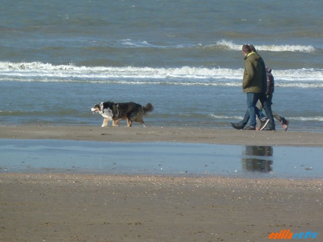 _wijk_aan_zee14.jpg