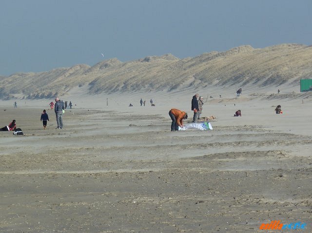 _wijk_aan_zee16.jpg