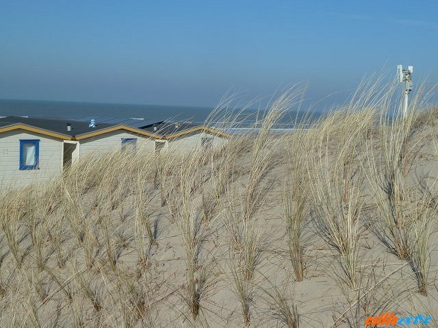 _wijk_aan_zee18.jpg