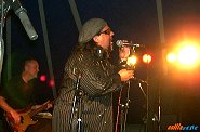 Johnny Mastro