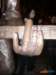 _rory_gallagher_statue22_small.jpg