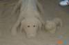 _cavern27_small.jpg