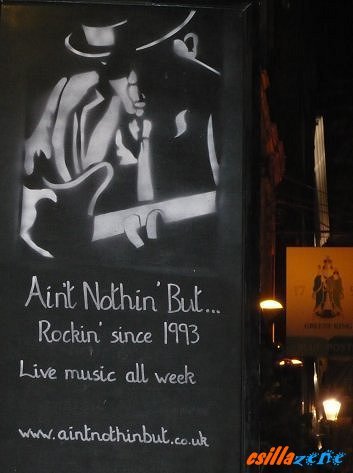 _aint_nothin_but_the_blues.jpg