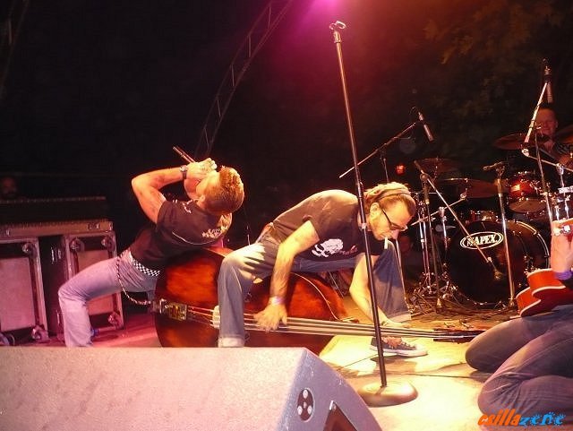 _tom_white_and_friends23.jpg