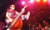 _tom_white_and_friends46_small.jpg