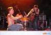 _tom_white_and_friends59_small.jpg