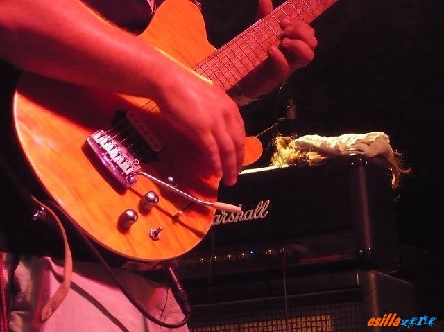 _zappa_tribute19.jpg