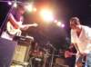 _zappa_tribute43_small.jpg