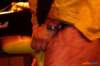_zappa_tribute55_small.jpg