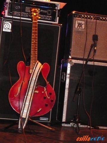 _eddys_guitar.jpg