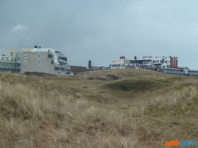 _wijk_aan_zee2.jpg